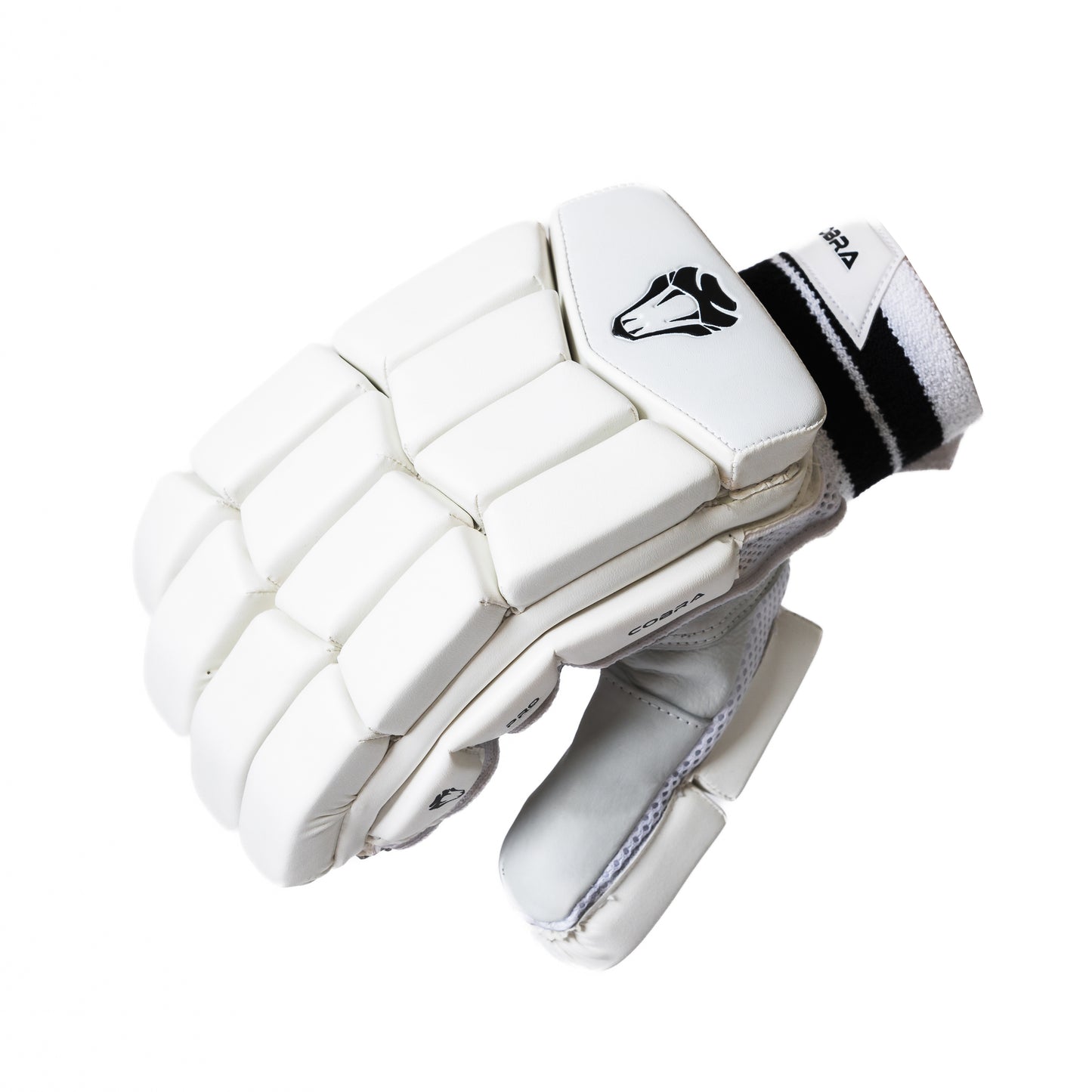 2025 CUSTOM PLAYERS(G3) BAT, PRO PADS , PRO GLOVES, PLAYERS DUFFLE BAG