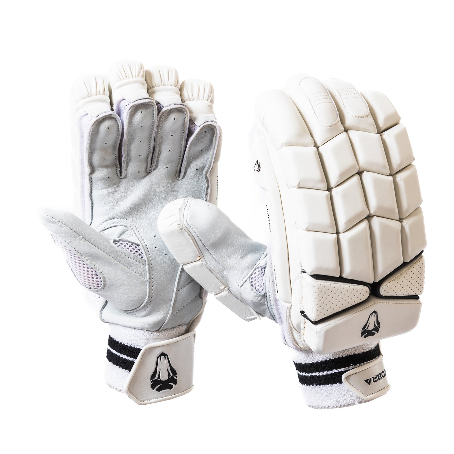 2025 LIMITED EDITION CRICKET GLOVES WHITE