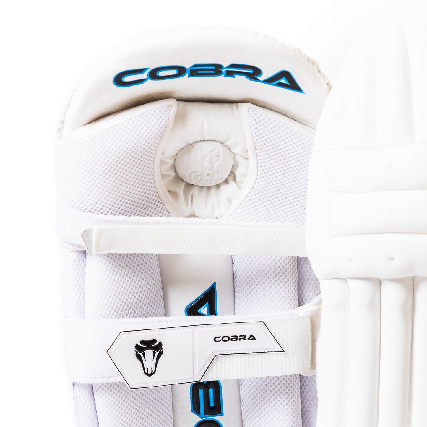 CUSTOM SPECIAL EDITION BAT (G1), SE PADS , SE GLOVES, SE HYBRID DUFFLE BAG(With Wheels)