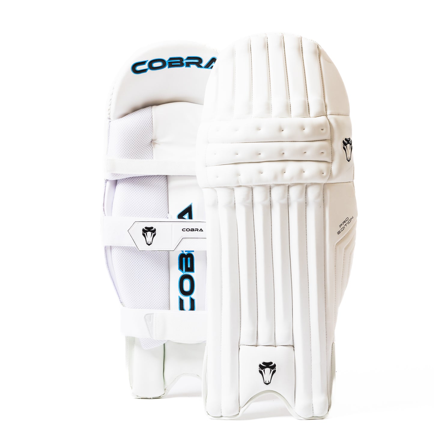 2025 JUNIOR PLAYERS(G3) BAT, PRO PADS , PRO GLOVES, LE DUFFLE BAG