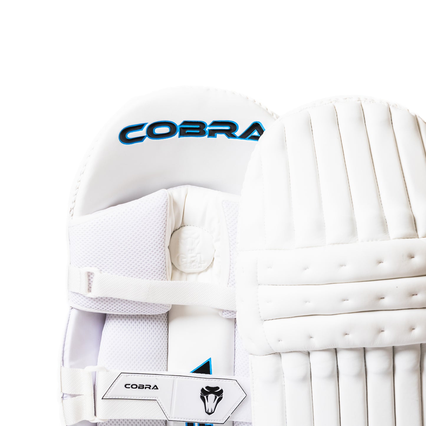 PLAYERS PADS , PLAYERS GLOVES, LE BAG