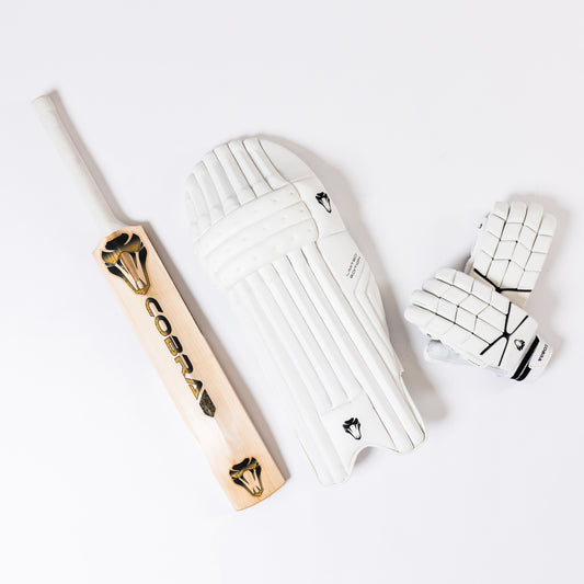 2025 CUSTOM LE BAT(G2), LE PADS & LE GLOVES.