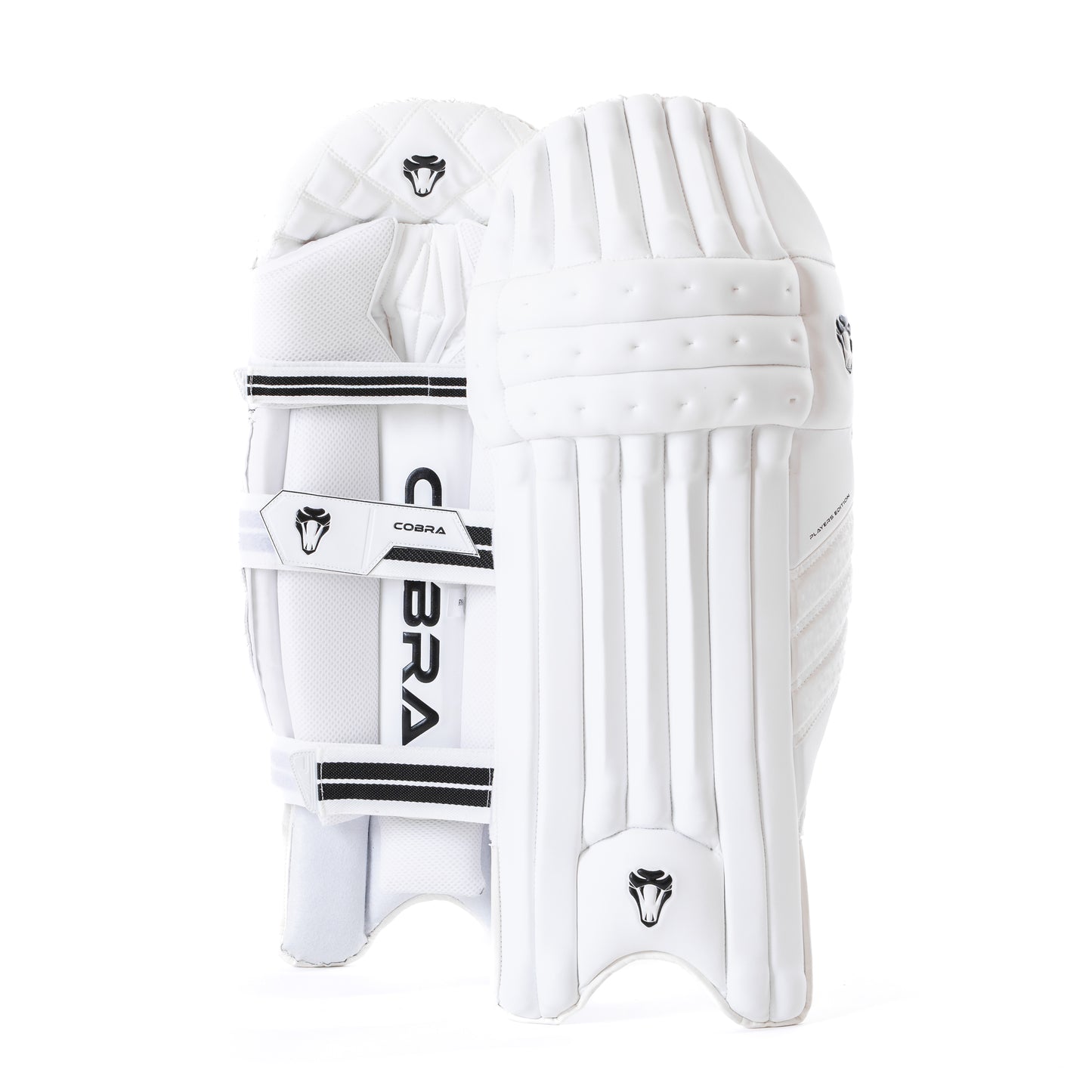 PLAYERS BAT BUNDLE - CUSTOM PLAYERS EDITION BAT (G3), PLAYERS PADS & PLAYERS GLOVES.