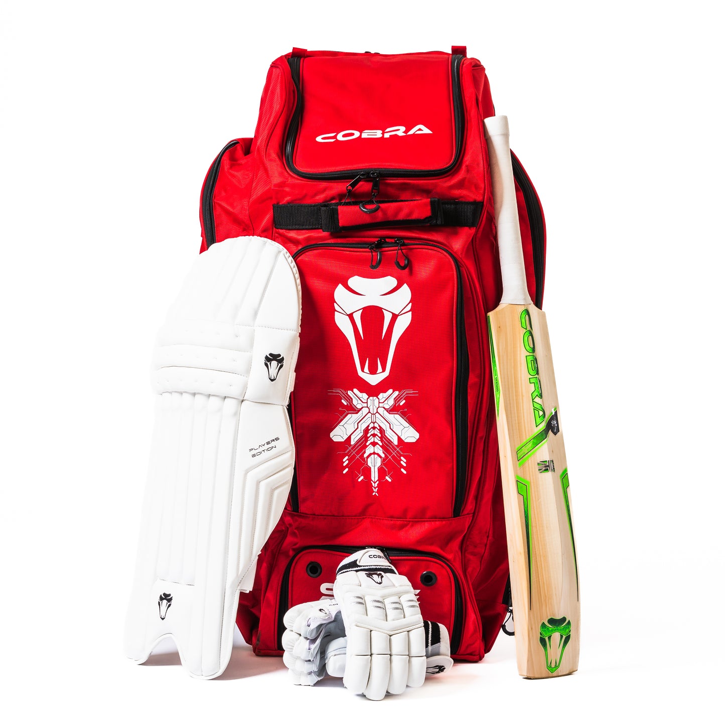 2025  CUSTOM PLAYERS BAT(G3), PLAYERS PADS , PLAYERS GLOVES, LE DUFFLE BAG
