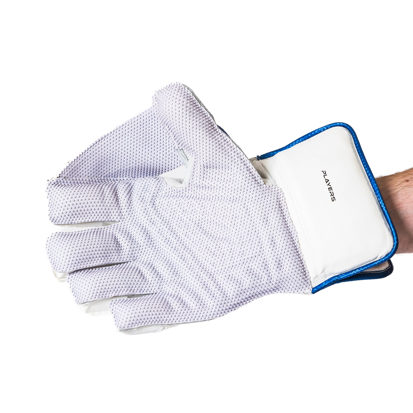 2025 PLAYERS WICKET KEEPING GLOVES