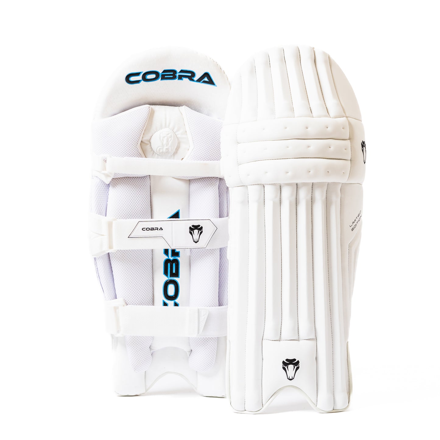 2025  CUSTOM LIMITED EDITION CUSTOM BAT G2 , LE PADS , LE GLOVES, LE DUFFLE BAG