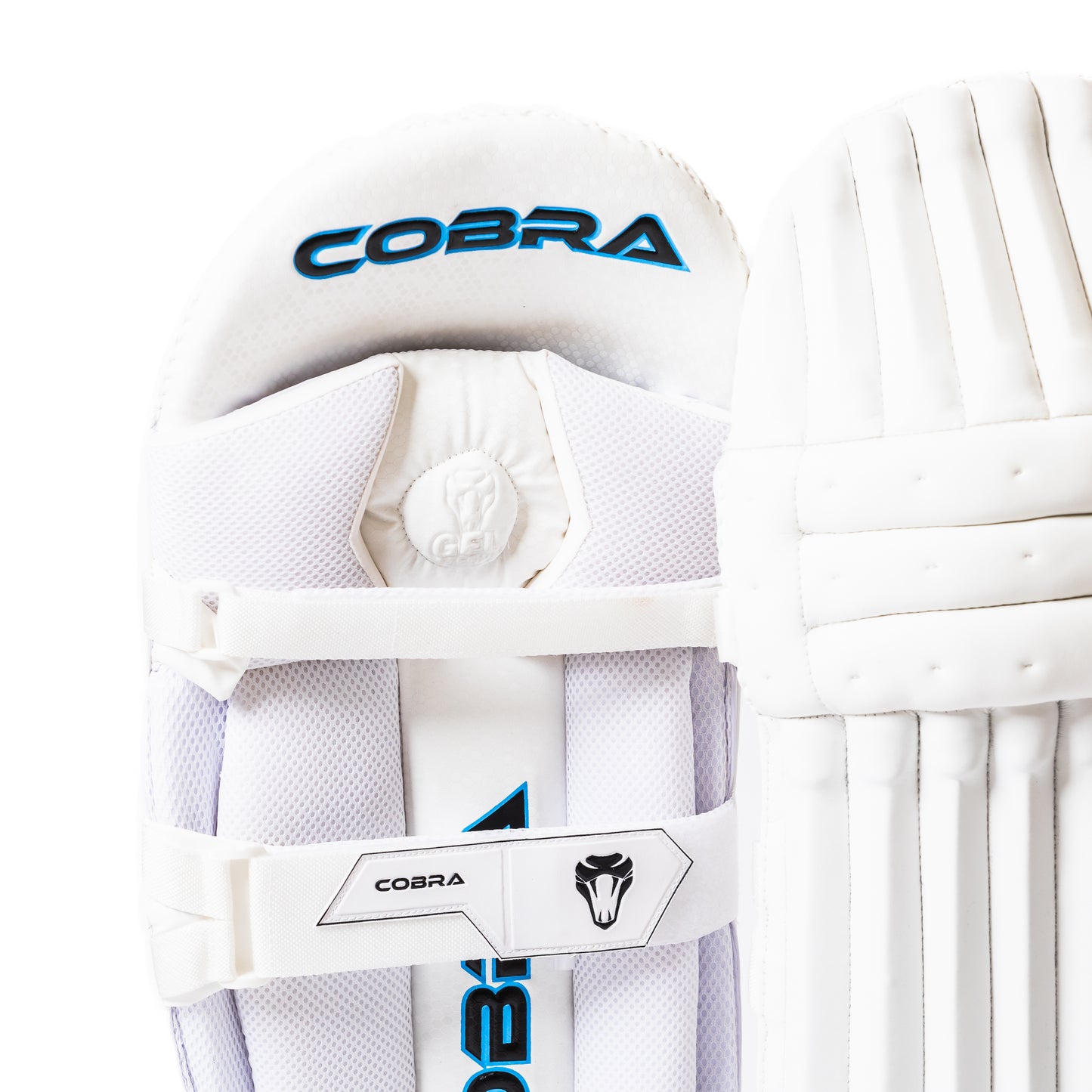 LE PADS, LE GLOVES, LE BAG