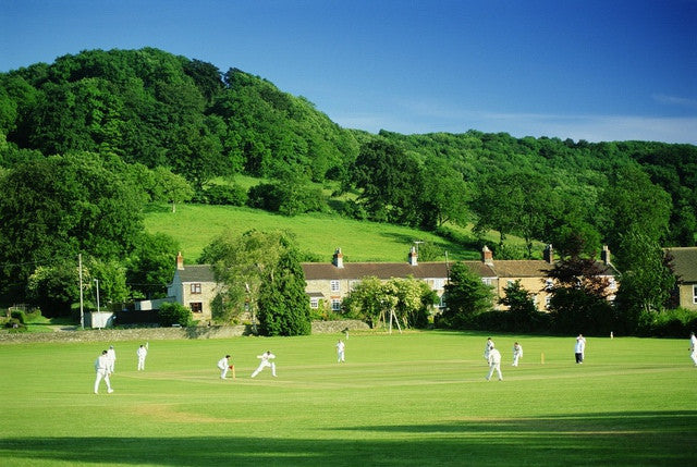 Is franchised Based cricket the future for the English Cricket ?