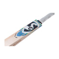 SG SIERRA 250 CRICKET BAT