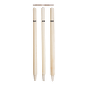 Test Stumps - Mens