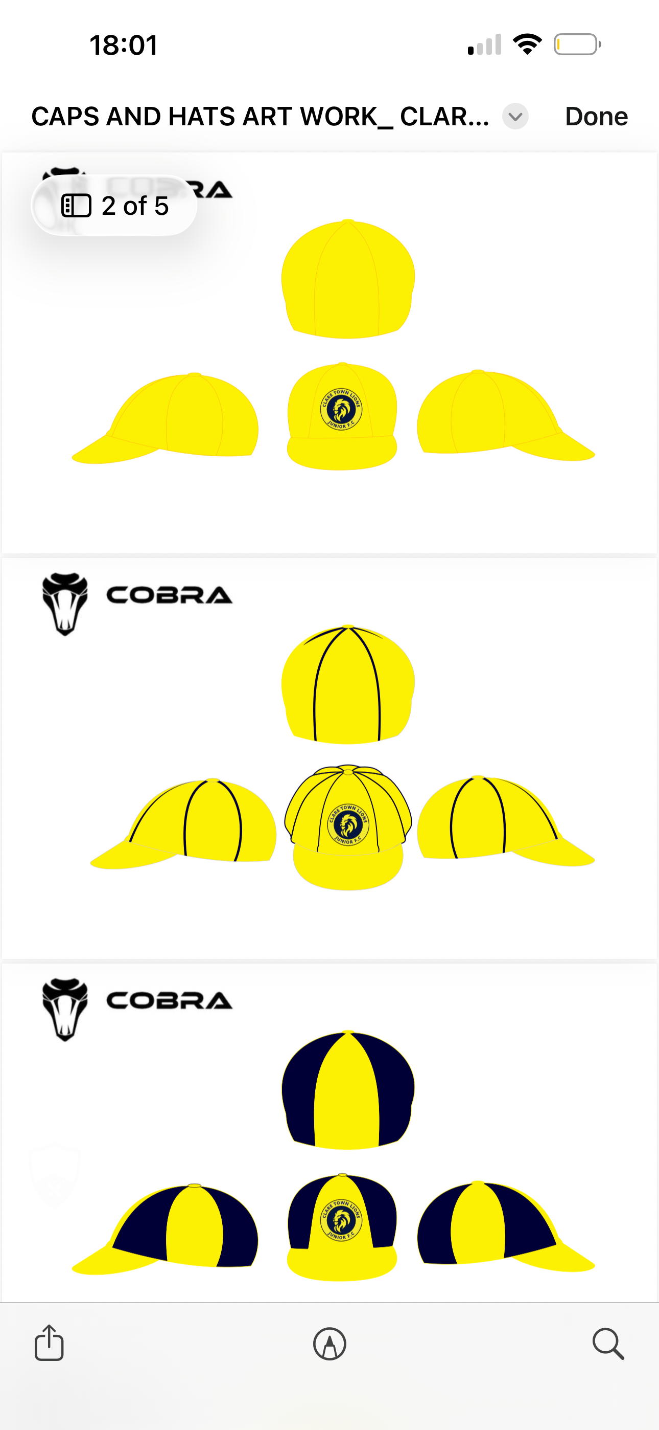 CUSTOM BAGGY CAPS
