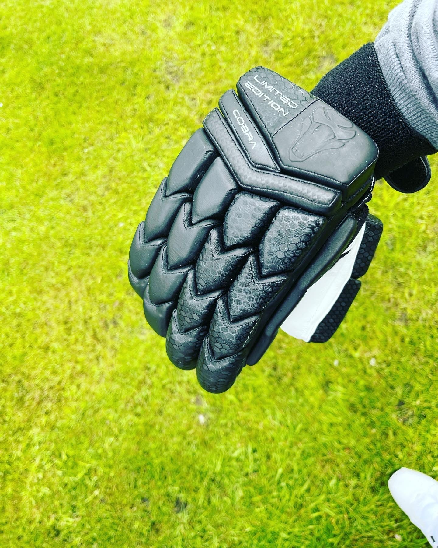 2023 LIMITED EDITION CRICKET GLOVES - BLACK EDITION - Cobra Cricket 