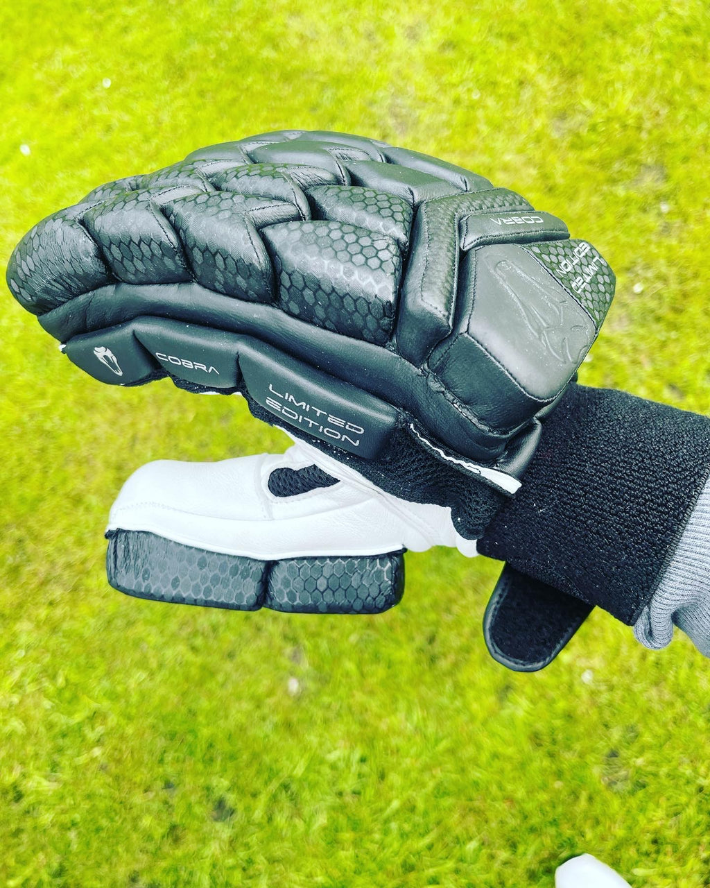 2023 LIMITED EDITION CRICKET GLOVES - BLACK EDITION - Cobra Cricket 