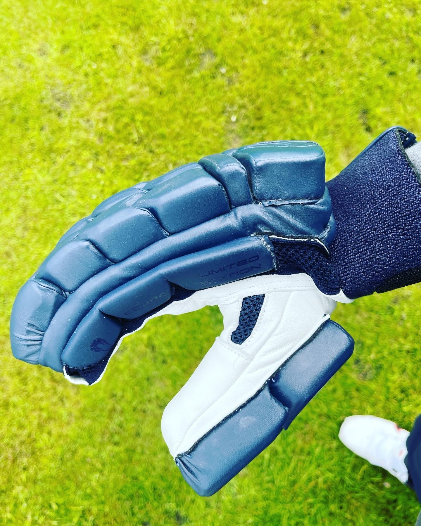 2023 LIMITED EDITION CRICKET GLOVES - NAVY EDITION - Cobra Cricket 