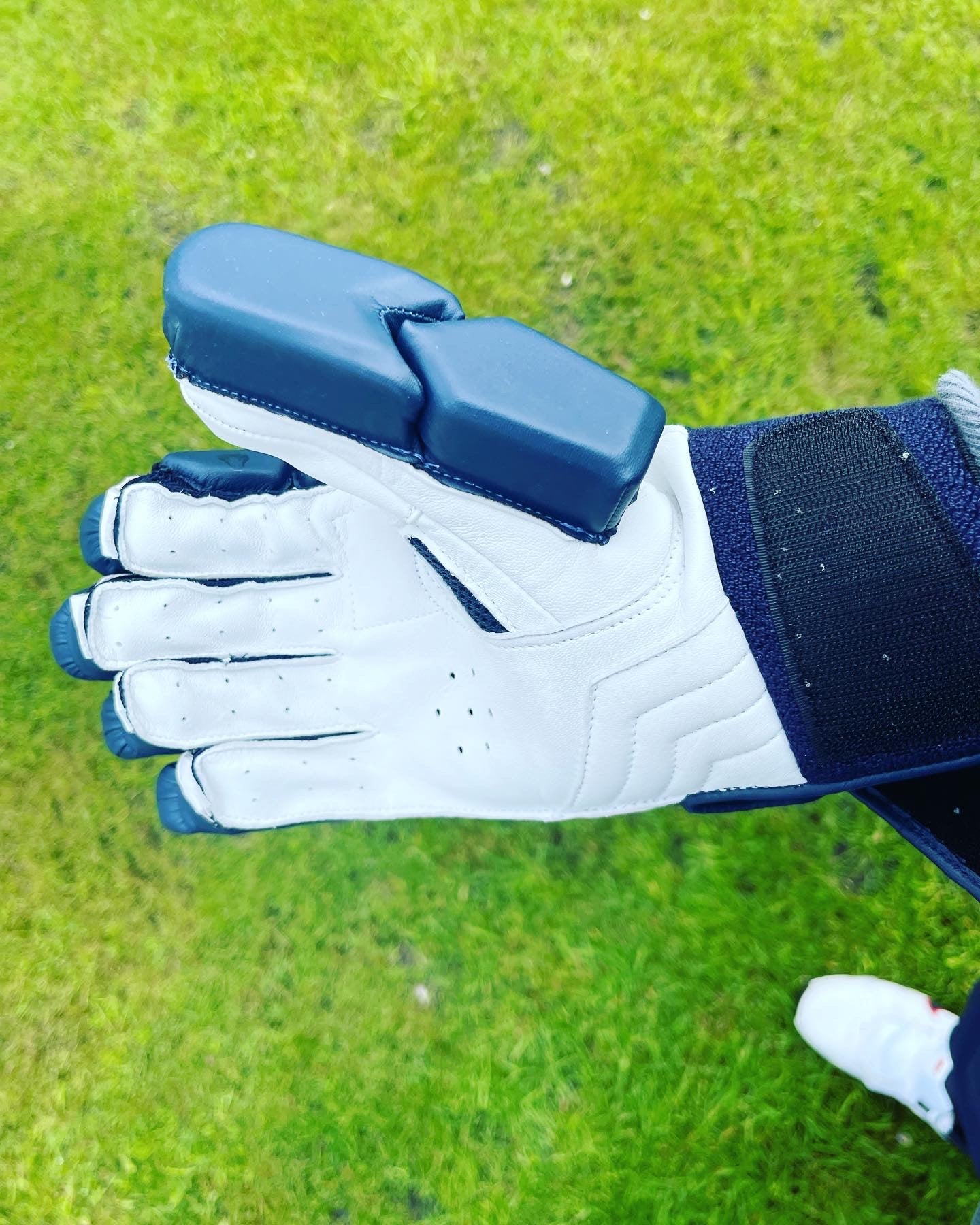 2023 LIMITED EDITION CRICKET GLOVES - NAVY EDITION - Cobra Cricket 