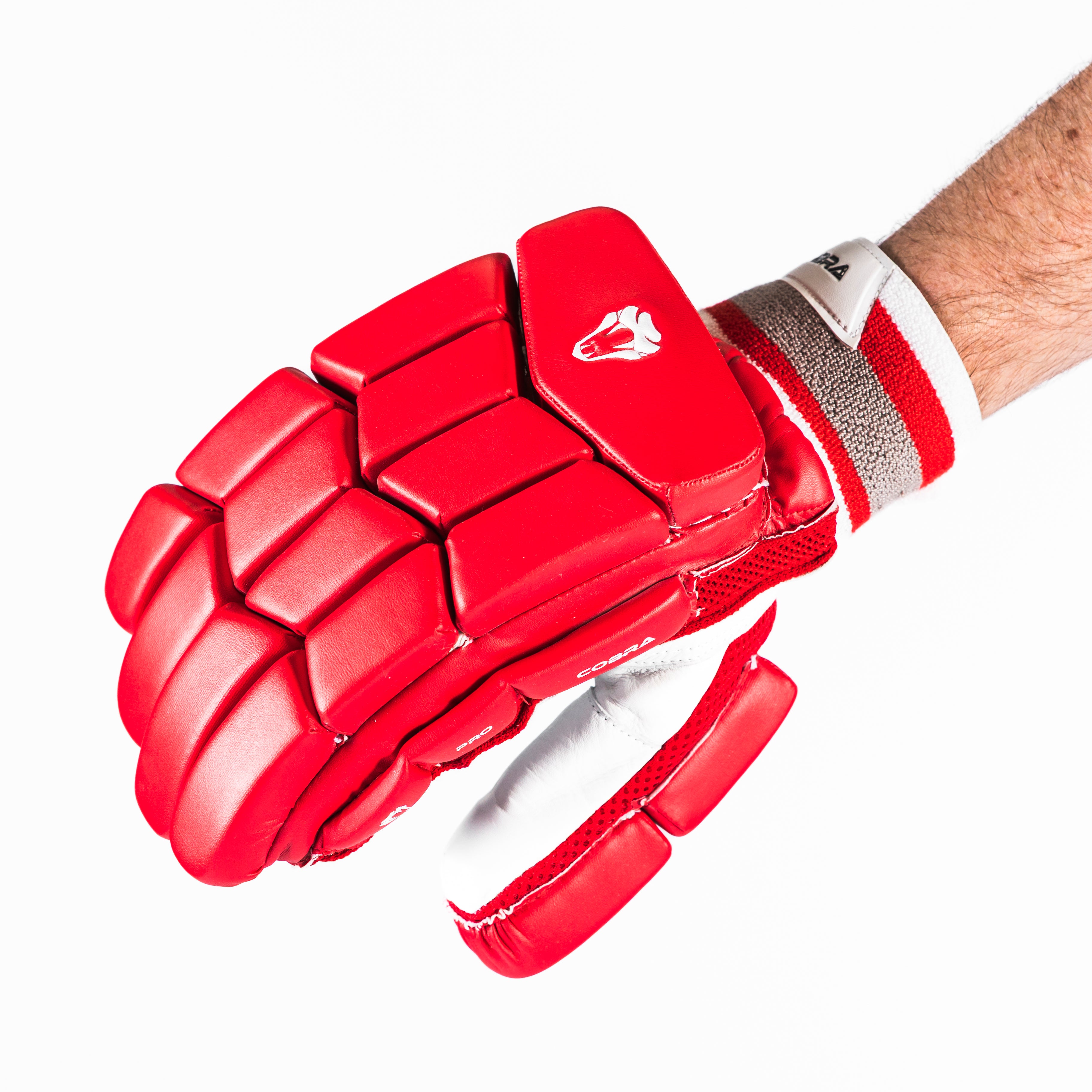 2025 PRO EDITION CRICKET GLOVES- RED