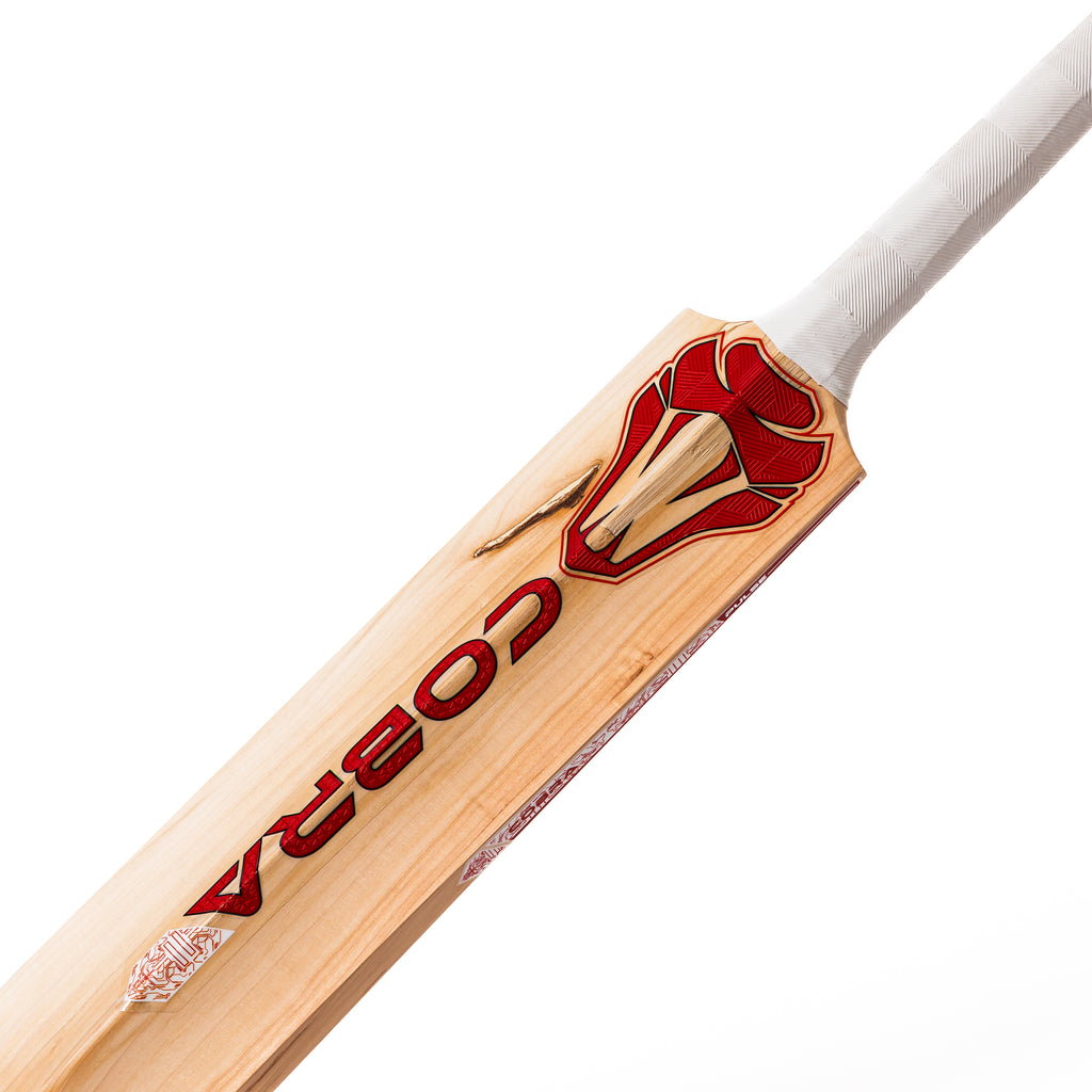 2025 COBRA PULSE CUSTOM MADE CRICKET BAT