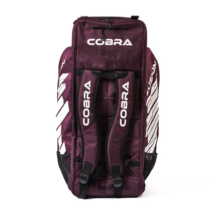 PLAYERS PADS , PLAYERS GLOVES, LE BAG