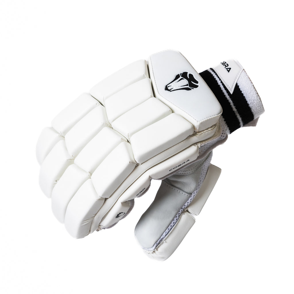 2025  CUSTOM PLAYERS(G3) BAT, PRO PADS , PRO GLOVES, PLAYERS DUFFLE BAG