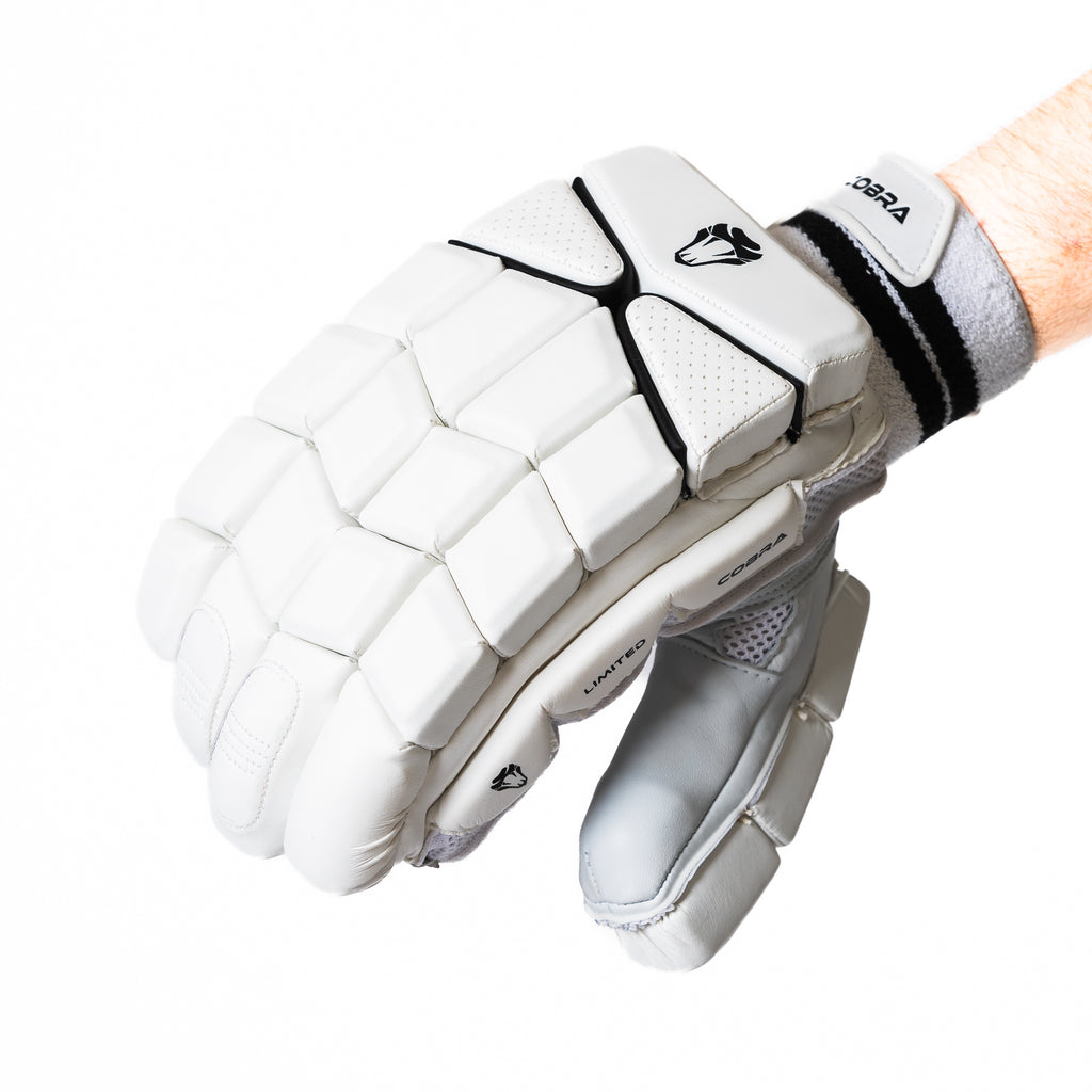 2025 LIMITED EDITION CRICKET GLOVES WHITE