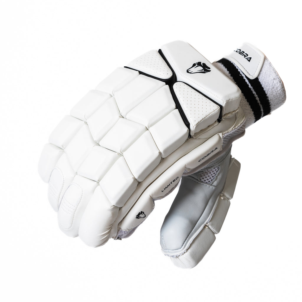 2025 CUSTOM LE BAT(G2), LE PADS & LE GLOVES. - Cobra Cricket 
