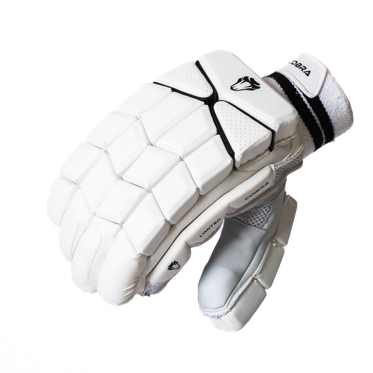 2025 CUSTOM LE BAT(G2), LE PADS & LE GLOVES.