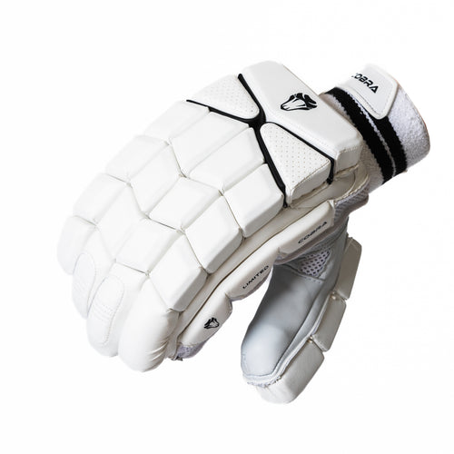 2025 CUSTOM LE BAT(G2), LE PADS & LE GLOVES. - Cobra Cricket 
