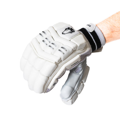 PLAYERS PADS , PLAYERS GLOVES, LE BAG