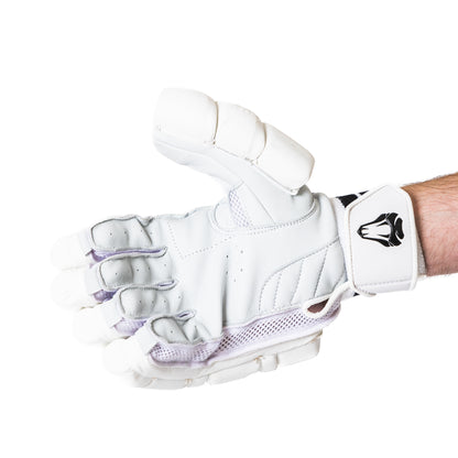 PLAYERS PADS , PLAYERS GLOVES, LE BAG