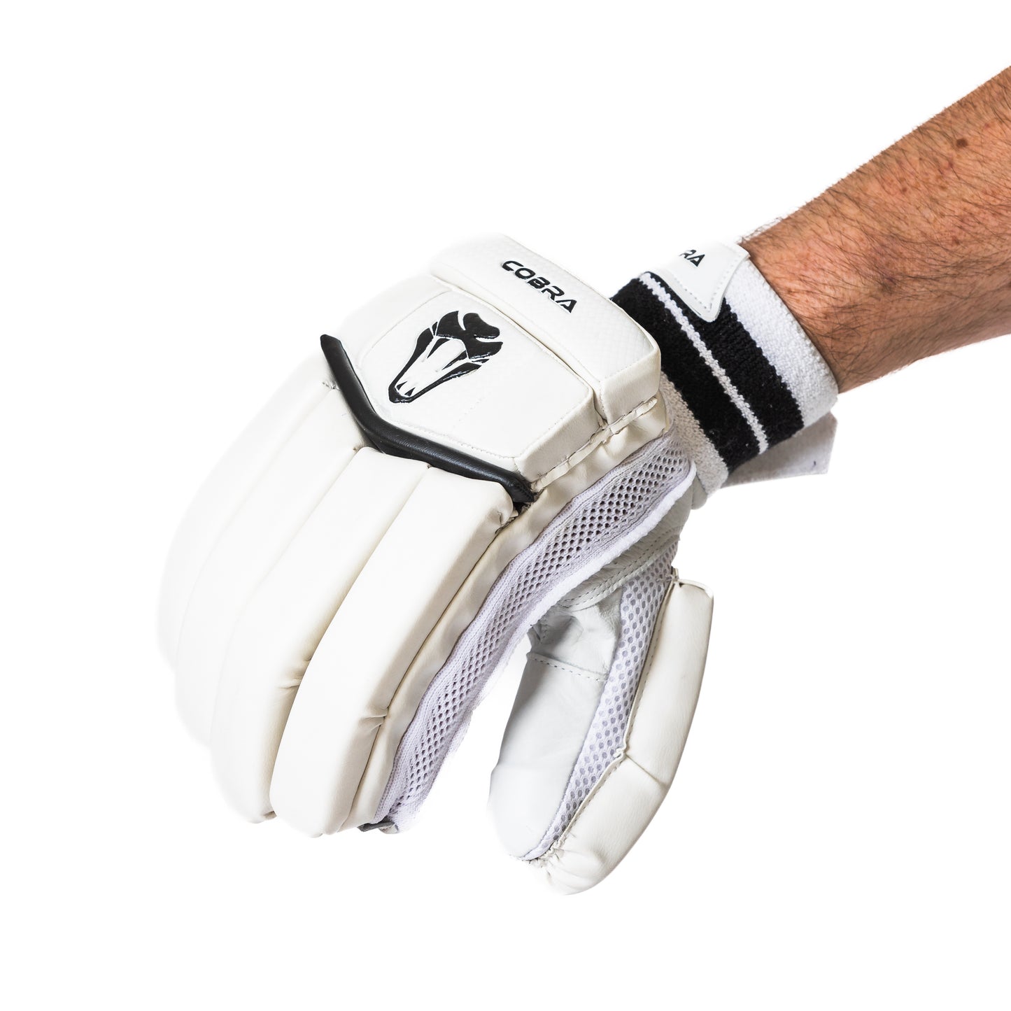 CLUB EDITION JUNIOR CRICKET GLOVES