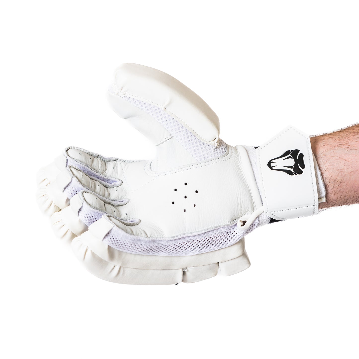 CLUB EDITION JUNIOR CRICKET GLOVES