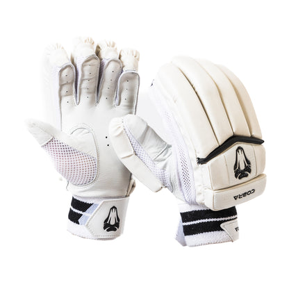 CLUB EDITION JUNIOR CRICKET GLOVES