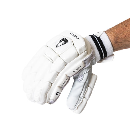 CUSTOM SPECIAL EDITION BAT (G1), SE PADS , SE GLOVES, SE HYBRID DUFFLE BAG(With Wheels)
