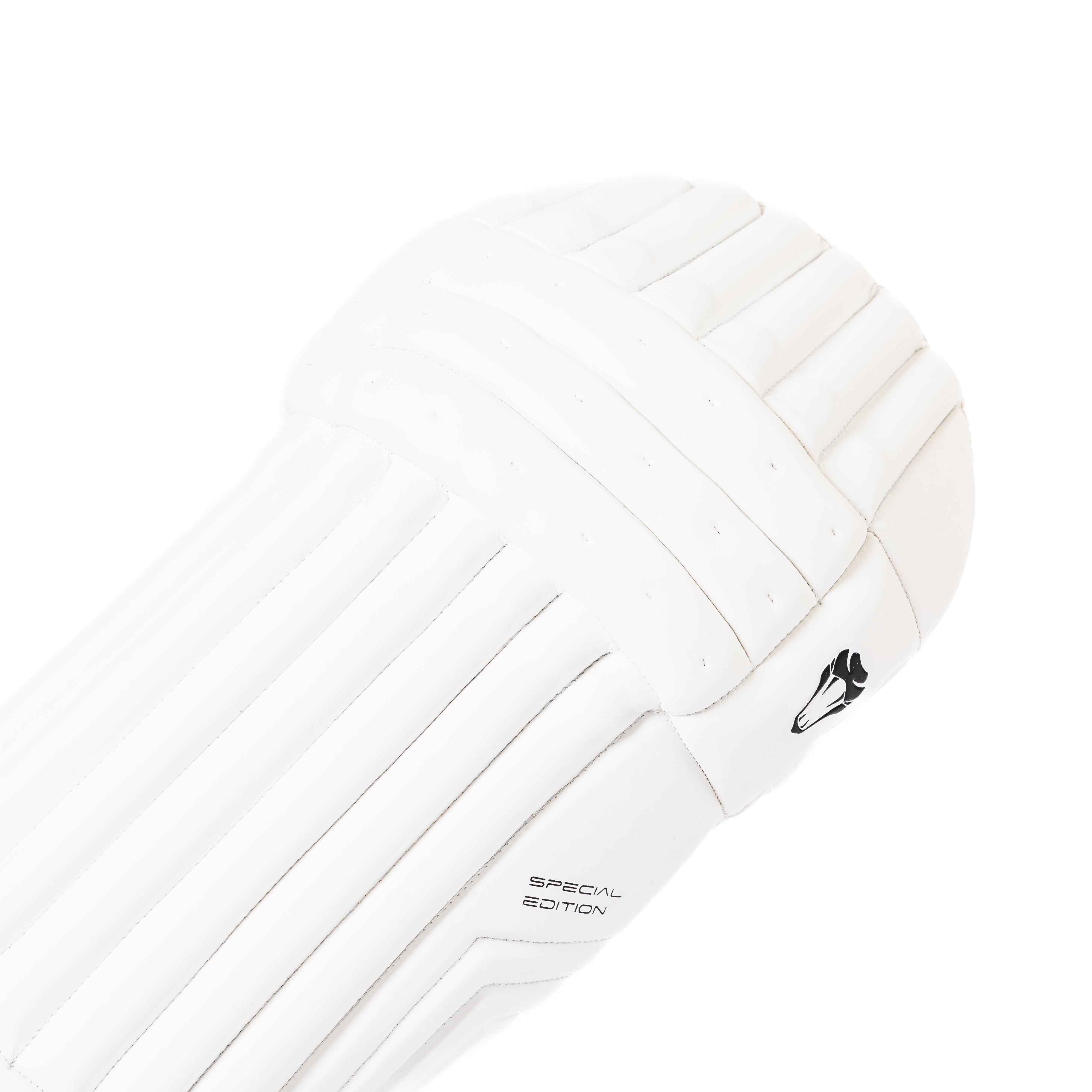 2025 SPECIAL EDITION BATTING PADS