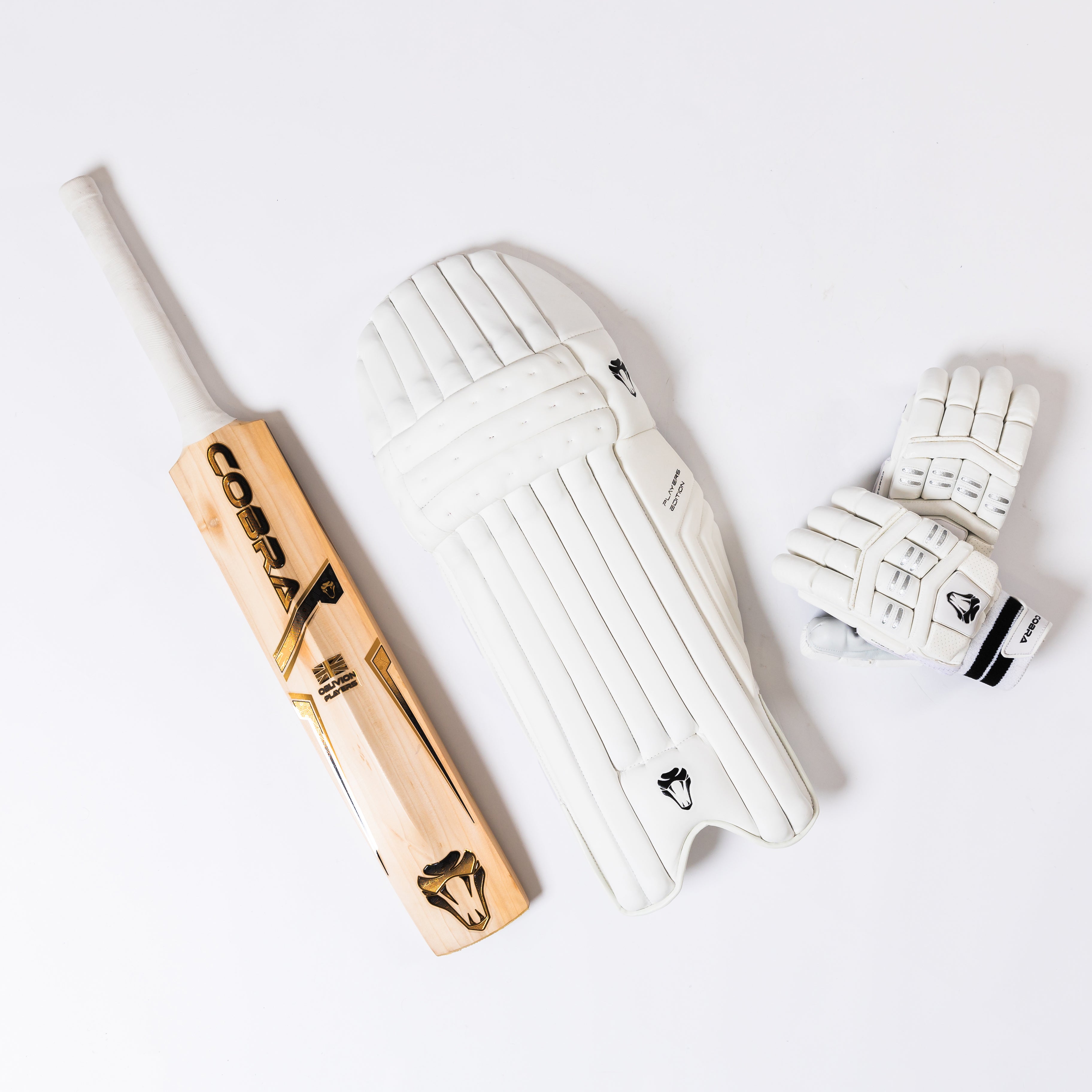 2025 CUSTOM PLAYERS EDITION BAT (G3), PLAYERS PADS & PLAYERS GLOVES.