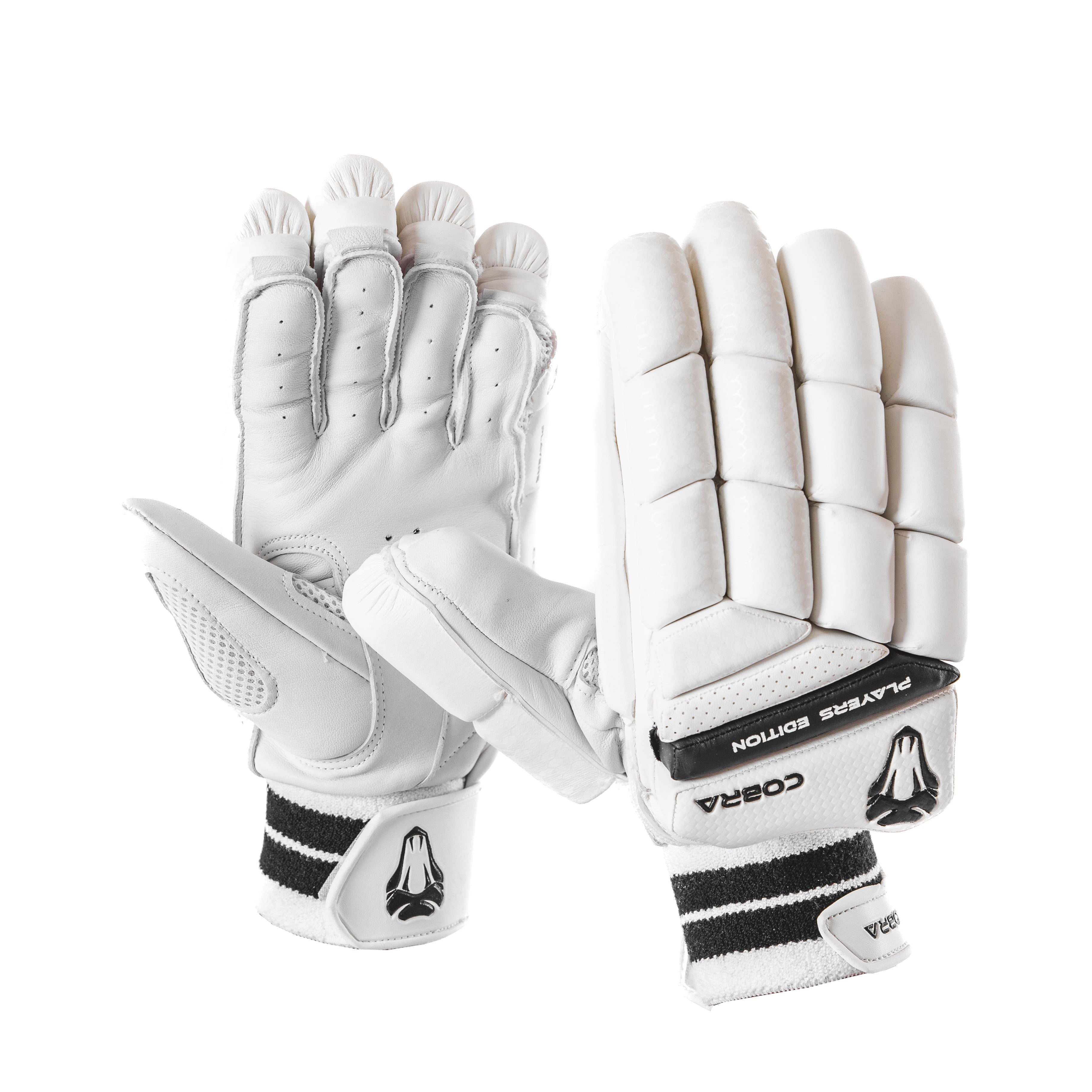 2024 FULL PLAYERS EDITION BAT BUNDLE - CUSTOM PLAYERS BAT(G3), PLAYERS PADS , PLAYERS GLOVES, LE DUFFLE BAG