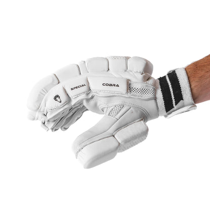 SPECIAL EDITION BAT BUNDLE - CUSTOM SE BAT(G1), SE PADS & SE GLOVES.
