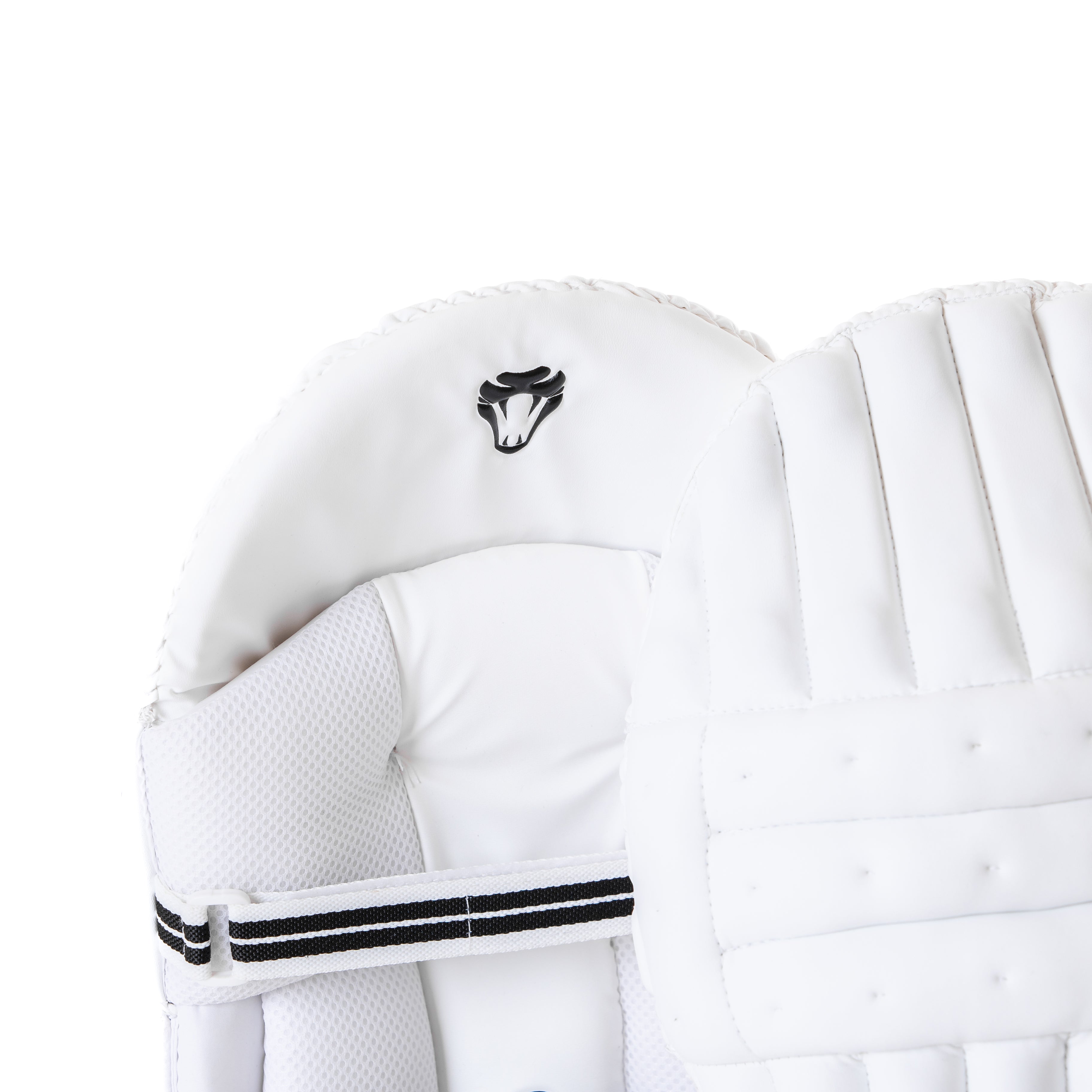PRO EDITION BATTING PADS - Cobra Cricket 