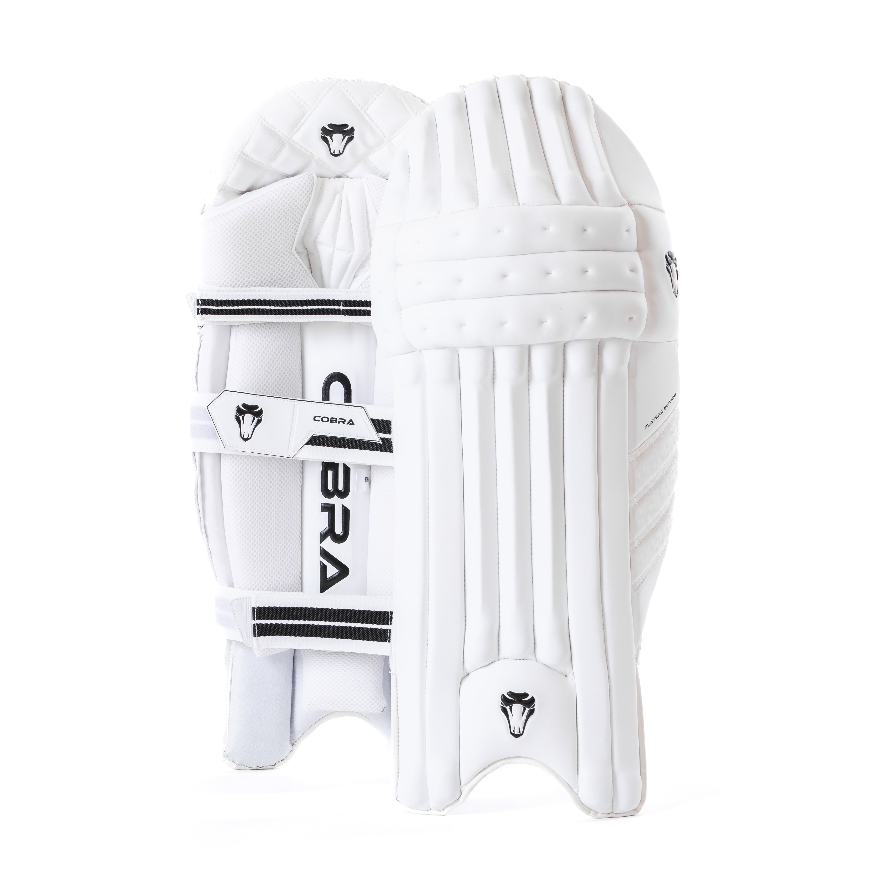 players pads , PRO GLOVES - Cobra Cricket 