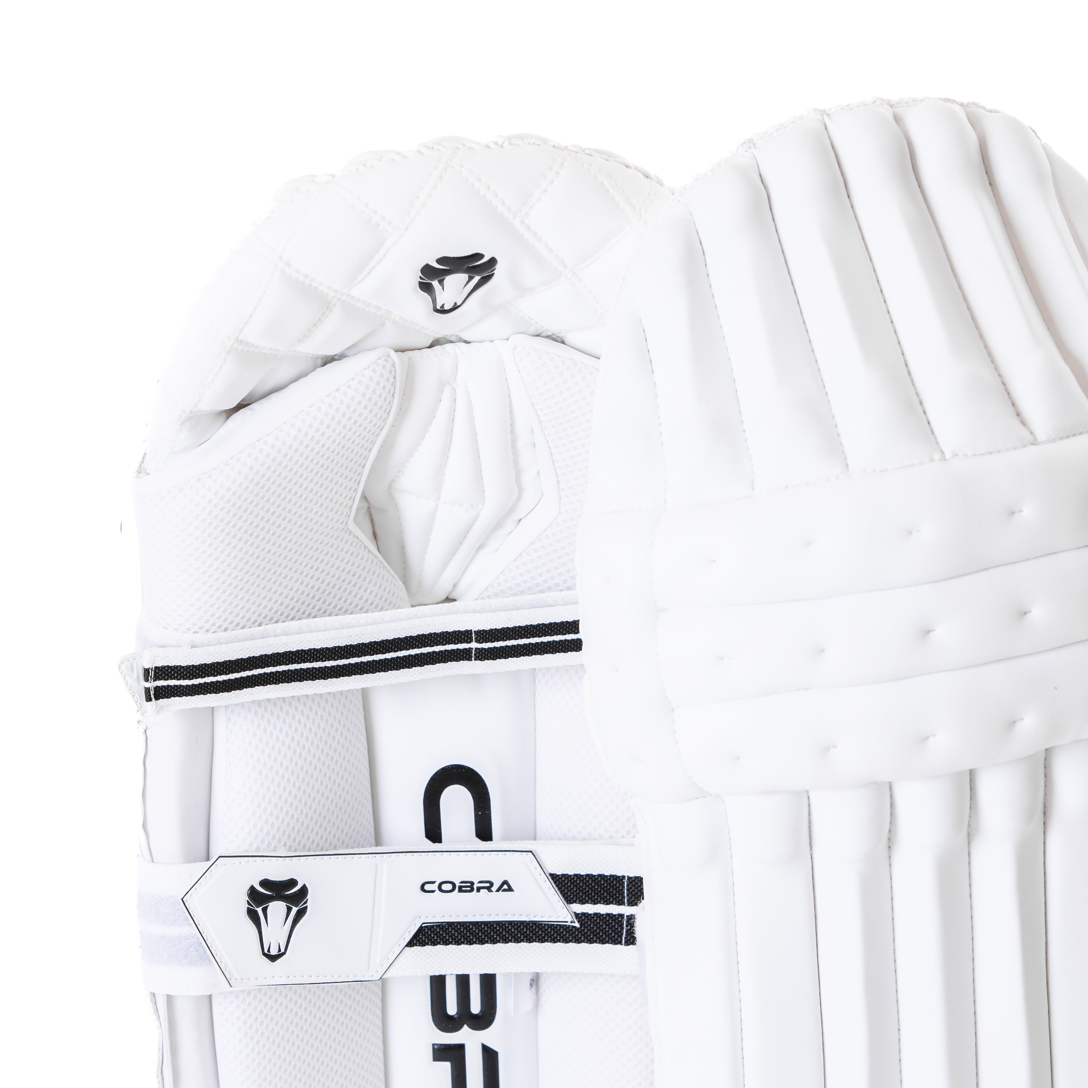 PLAYERS EDITION PADS & GLOVES BUNDLE - Cobra Cricket 