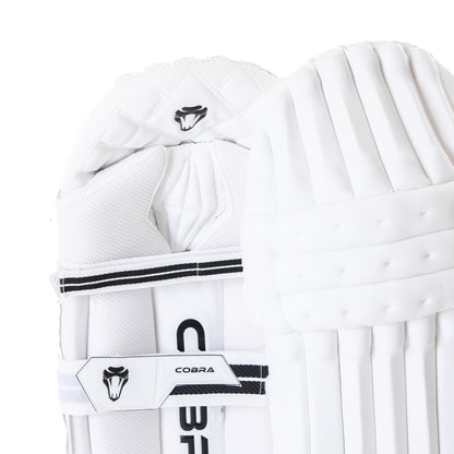 PLAYERS BAT BUNDLE - CUSTOM PLAYERS EDITION BAT (G3), PLAYERS PADS & PLAYERS GLOVES.