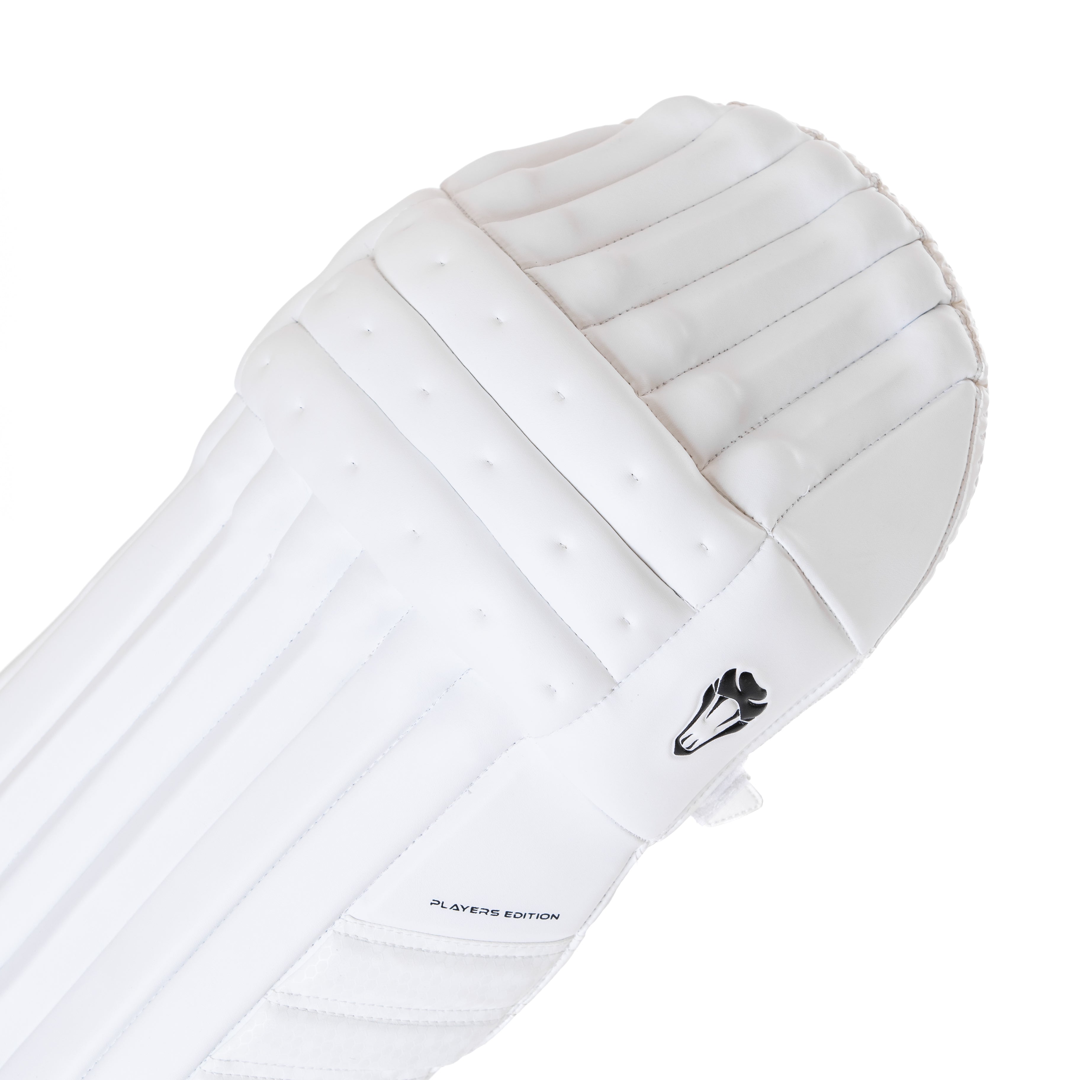 PLAYERS EDITION PADS & GLOVES BUNDLE - Cobra Cricket 