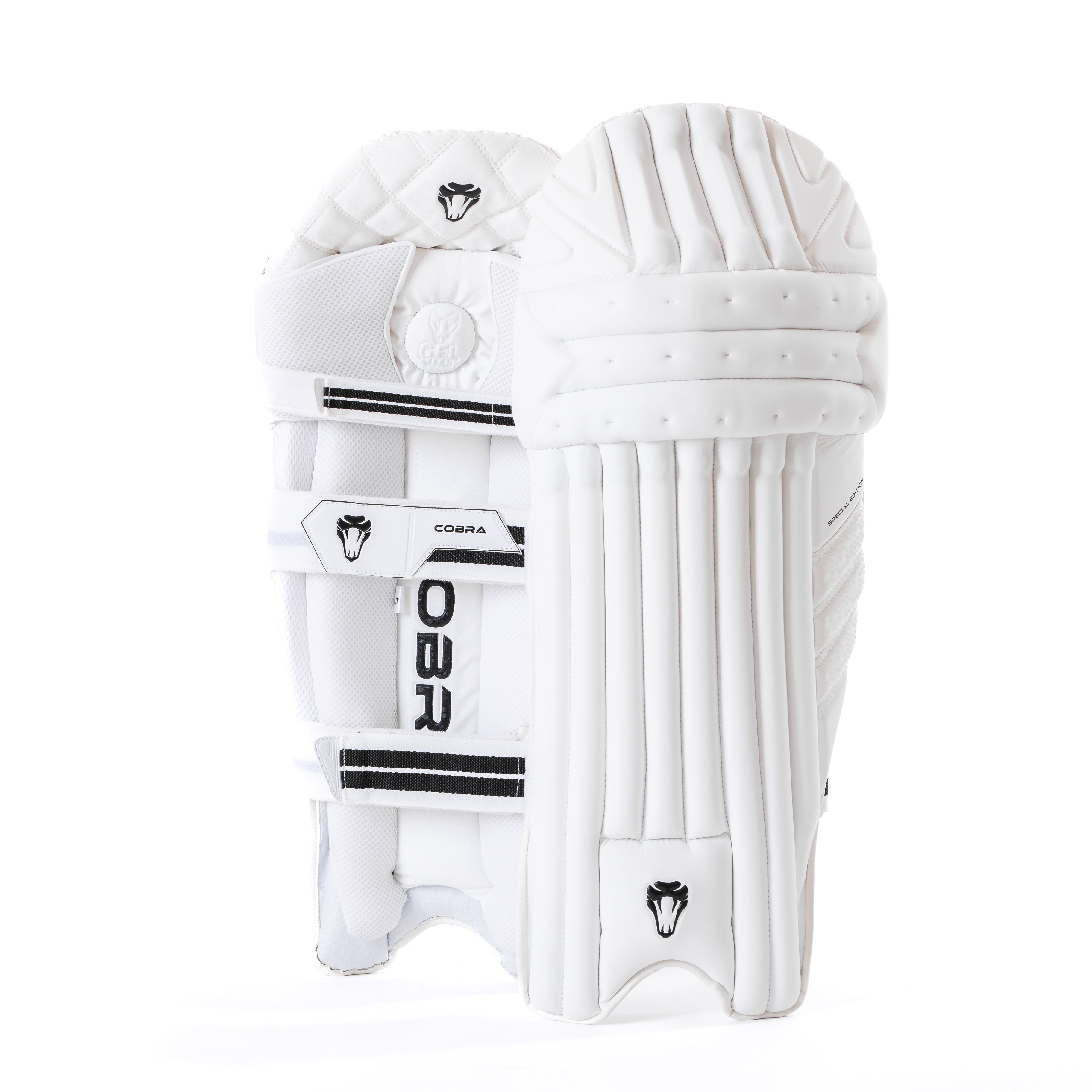 SPECIAL EDITION PADS & GLOVES BUNDLE - Cobra Cricket 