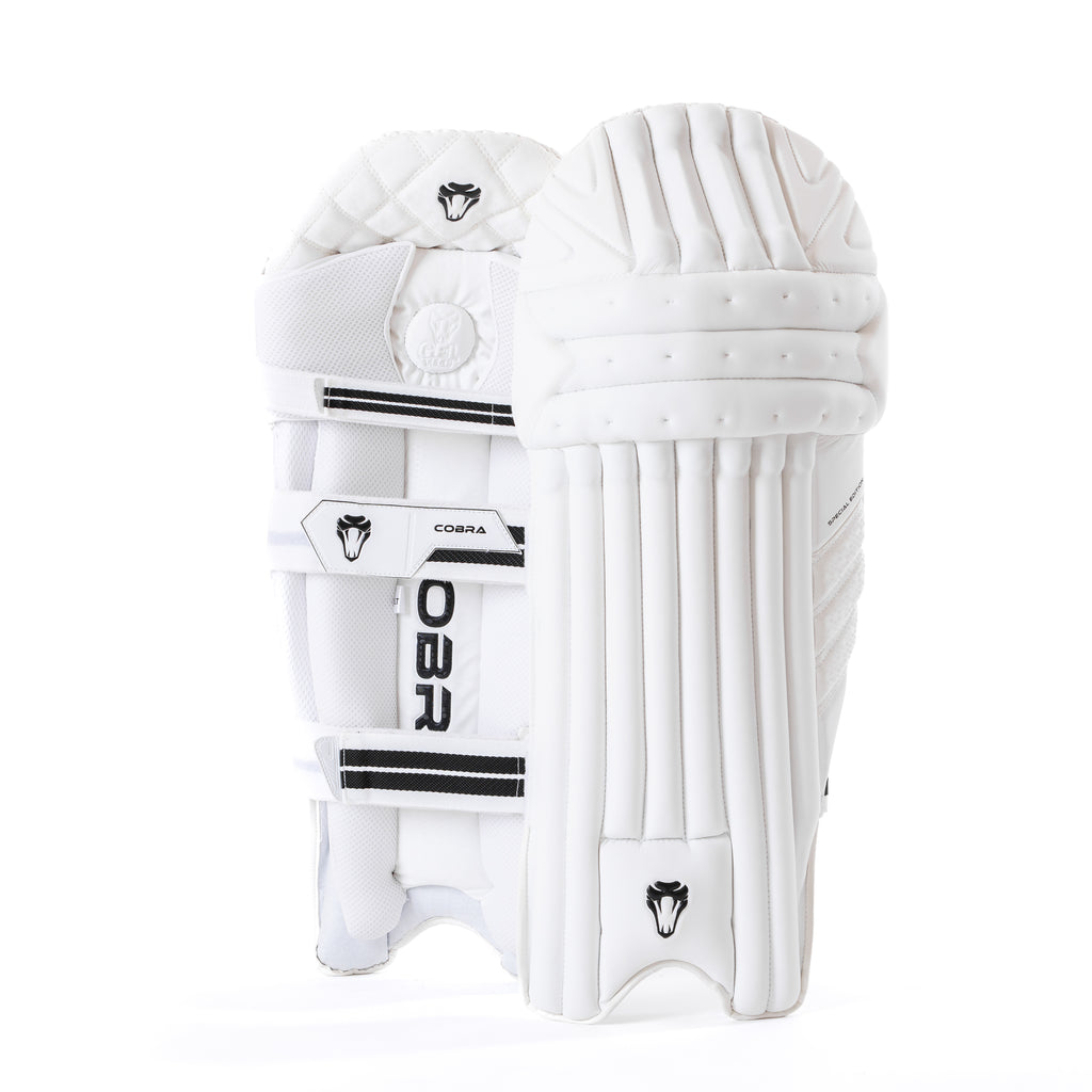 2023 FULL SPECIAL EDITION BAT BUNDLE - CUSTOM SPECIAL EDITION BAT (G1), SE PADS , SE GLOVES, PLAYERS DUFFLE BAG