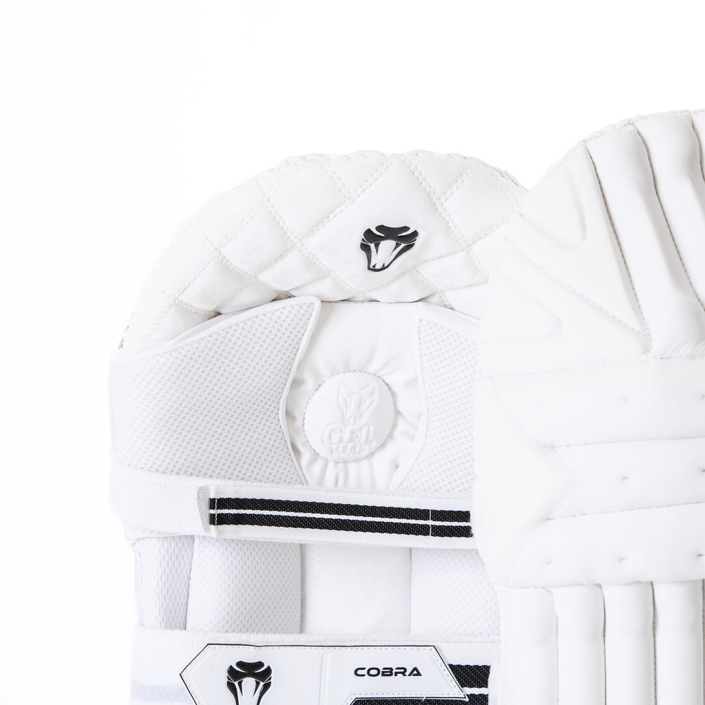 SPECIAL EDITION PADS & GLOVES BUNDLE - Cobra Cricket 