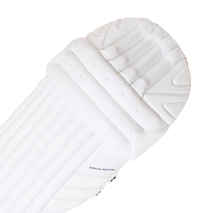 SPECIAL EDITION BAT BUNDLE - CUSTOM SE BAT(G1), SE PADS & SE GLOVES.