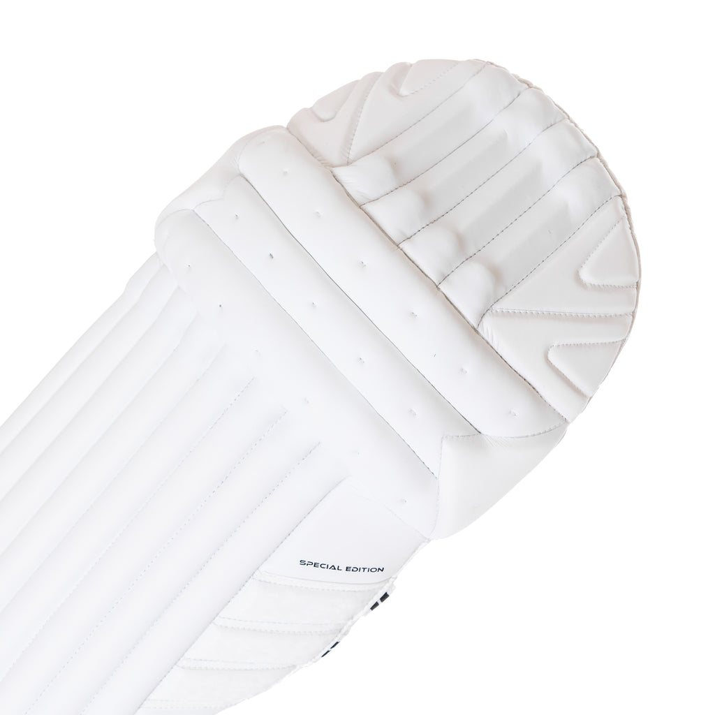 SPECIAL EDITION PADS & GLOVES BUNDLE - Cobra Cricket 