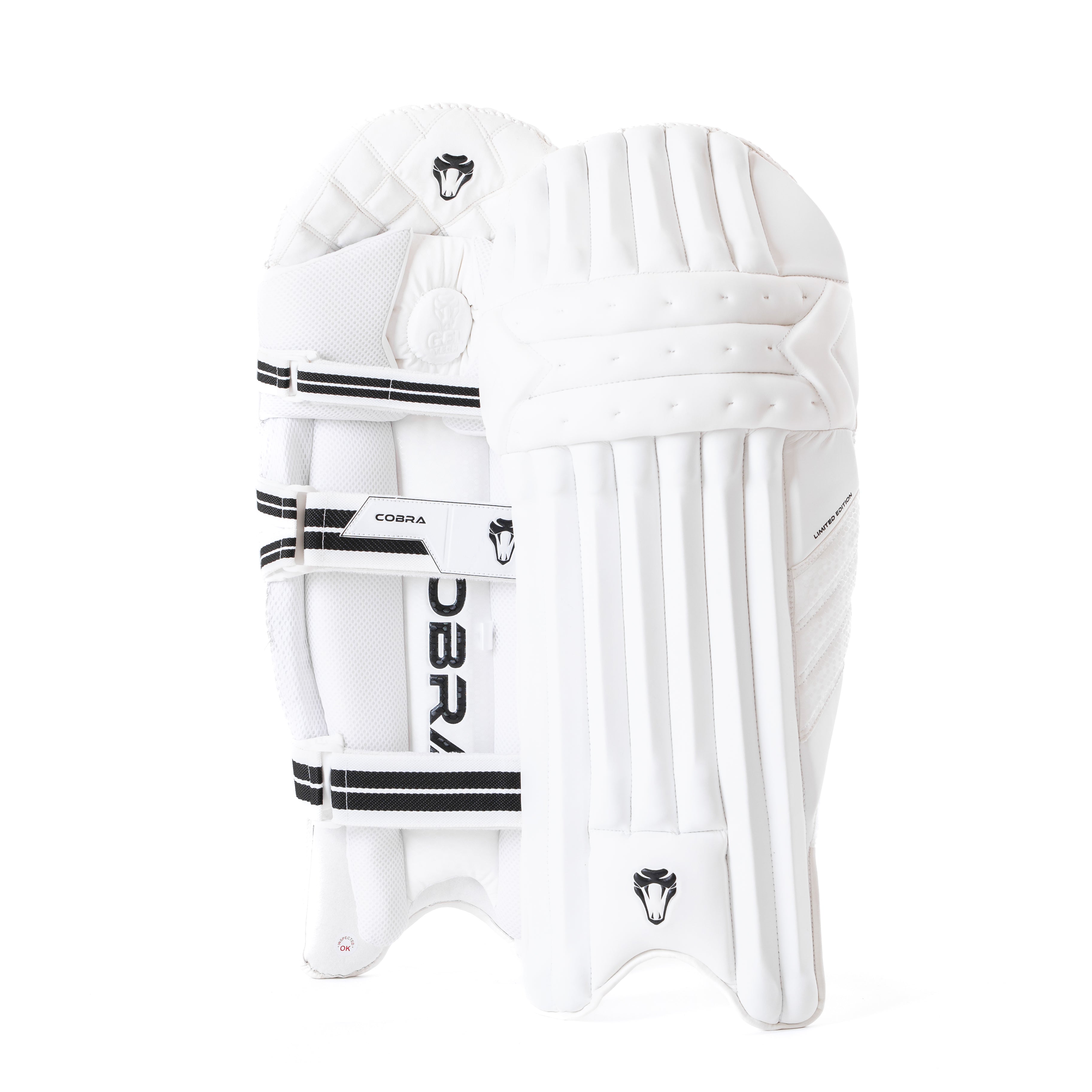2024 FULL LIMITED EDITION BAT BUNDLE - CUSTOM LIMITED EDITION BAT(G2), LE PADS , LE GLOVES, PLAYERS DUFFLE BAG