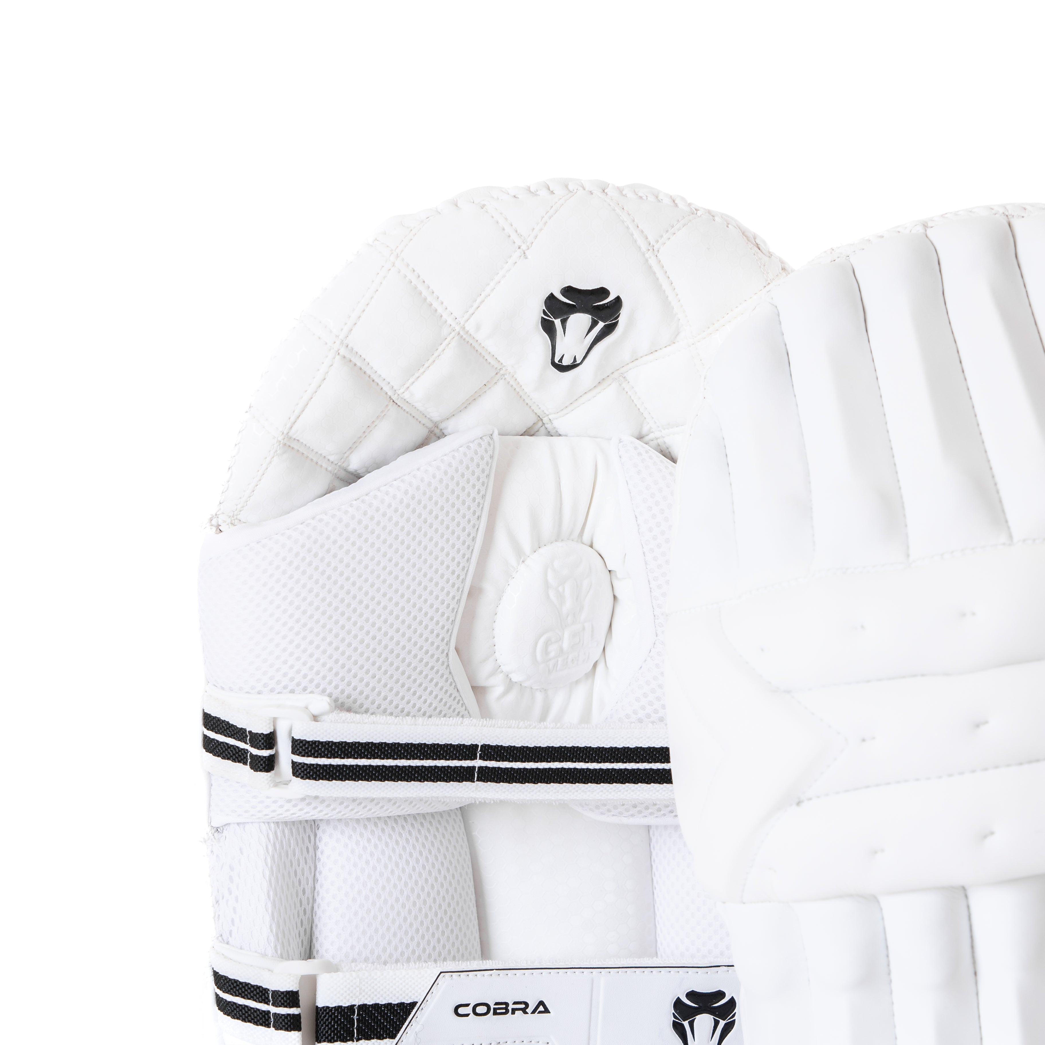 LIMITED EDITION PADS & GLOVES BUNDLE - Cobra Cricket 