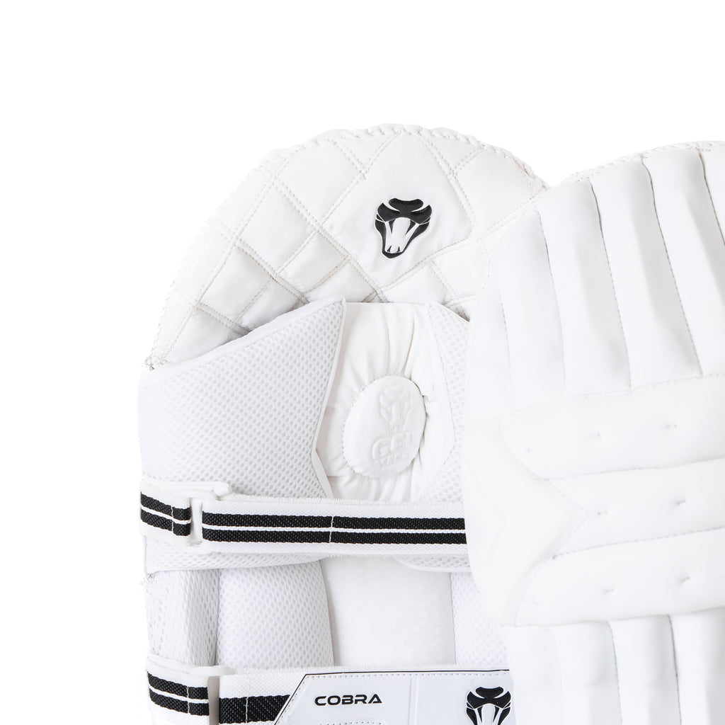 2024 FULL LIMITED EDITION BAT BUNDLE - CUSTOM LIMITED EDITION BAT(G2), LE PADS , LE GLOVES, PLAYERS DUFFLE BAG